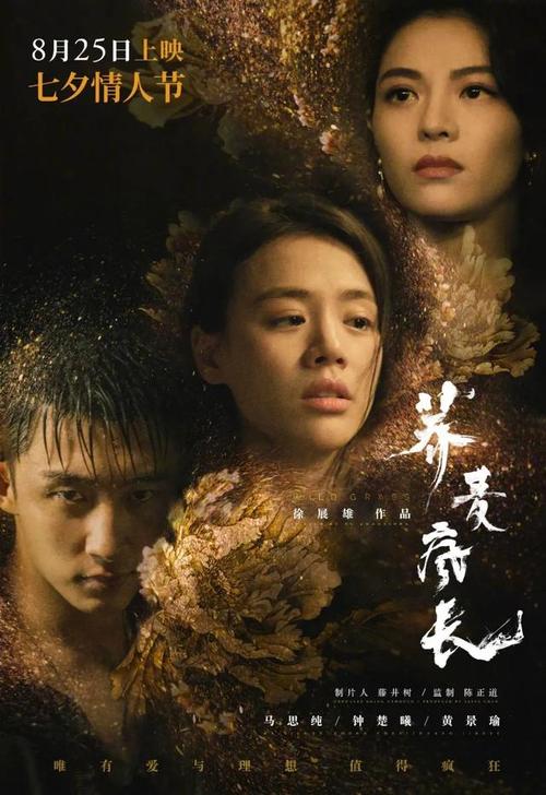 做假的音像制品经营许可证